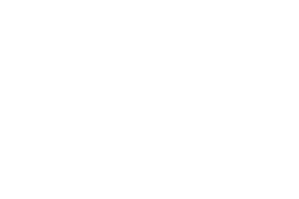 Icône de roue